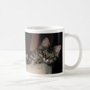 Kimber Chillin Kätzchen-Tasse Kaffeetasse
