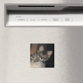Kimber Chillin' Kitten Magnet (In Situ (Geschirrspüler))
