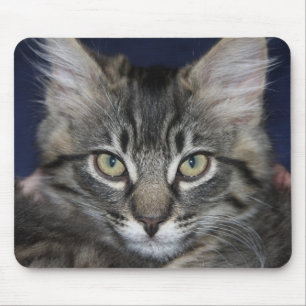 Kimber Handsome Cat Mouse Pad Mousepad