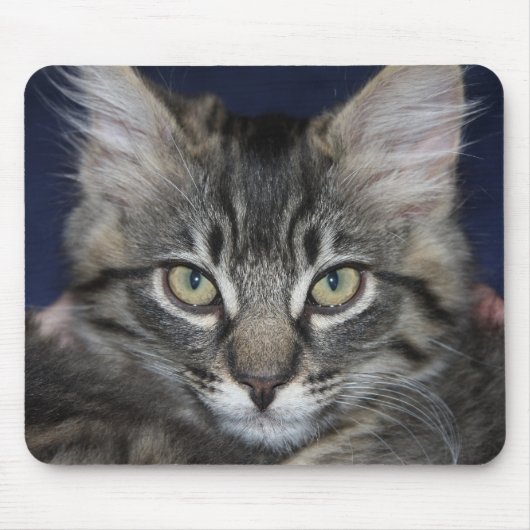 Kimber Handsome Cat Mouse Pad Mousepad (Vorne)