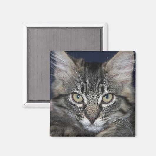 Kimber Handsome Magnet (Vorderseite/Rückseite)