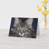 Kimber Kitten Happy Birthday Card Karte (Gelbe Blume)