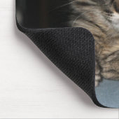 Kimber Kitty sagt: "Oh, wirklich?" Mouspad Mousepad (Ecke)