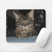 Kimber Kitty sagt: "Oh, wirklich?" Mouspad Mousepad (Mit Mouse)