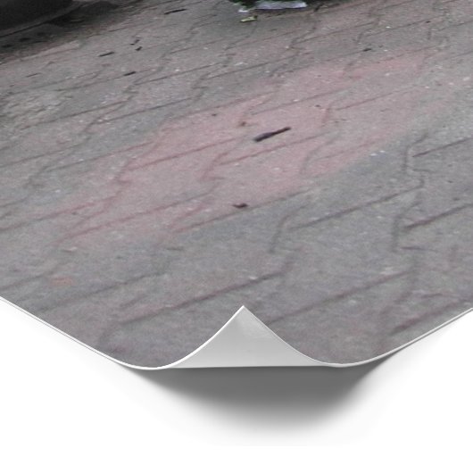 Kimchi Pots Poster (Ecke)