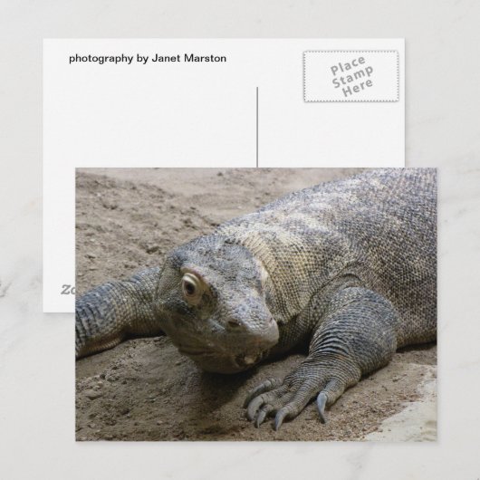 Kimodo Dragon Postkarte (Vorne/Hinten)