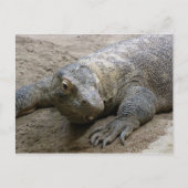 Kimodo Dragon Postkarte (Vorderseite)