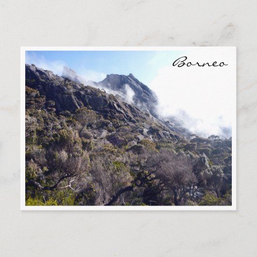 Kinabalu-Borneo-Natur Postkarte (Vorderseite)