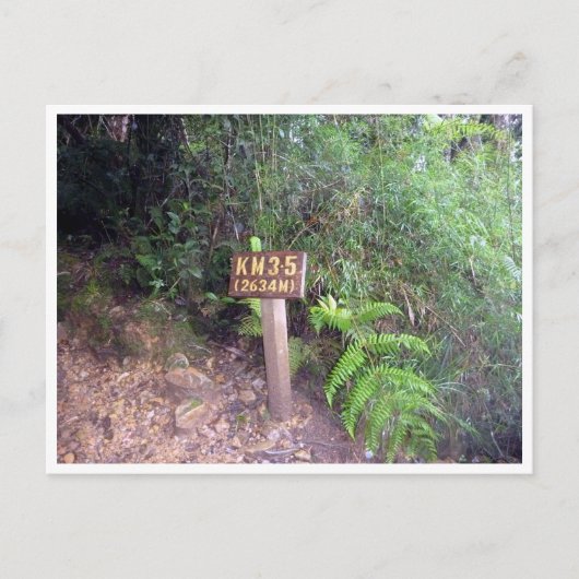 Kinabalu km 3,5 postkarte (Vorderseite)