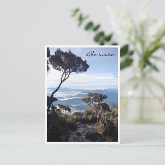 Kinabalu Postkarte (Stehend Vorderseite)