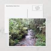 Kinabalu Postkarte (Vorne/Hinten)
