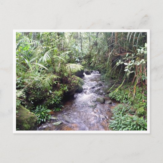 Kinabalu Postkarte (Vorderseite)