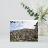 Kinabalu-Vegetation Postkarte (Stehend Vorderseite)