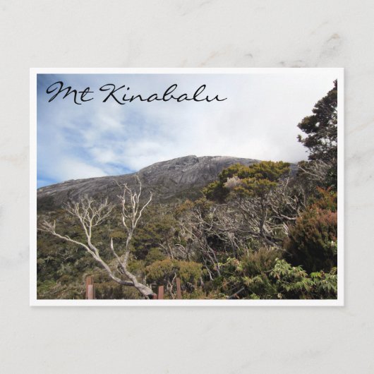 Kinabalu-Vegetation Postkarte (Vorderseite)