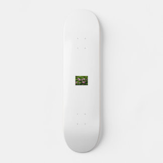 Kinafex Zuhause-Seite zazzle.com und Marktplatz Skateboard