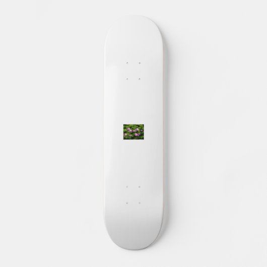 Kinafex Zuhause-Seite zazzle.com und Marktplatz Skateboard (Vorderseite)