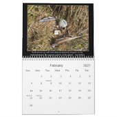 Kind-Freie und Überbevölkerungs-Zitate Kalender (Feb 2027)