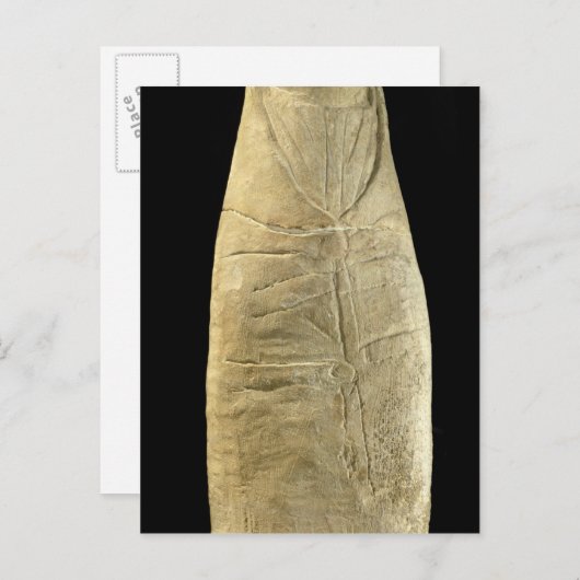 Kind in schwammiger Kleidung Postkarte (Vorne/Hinten)