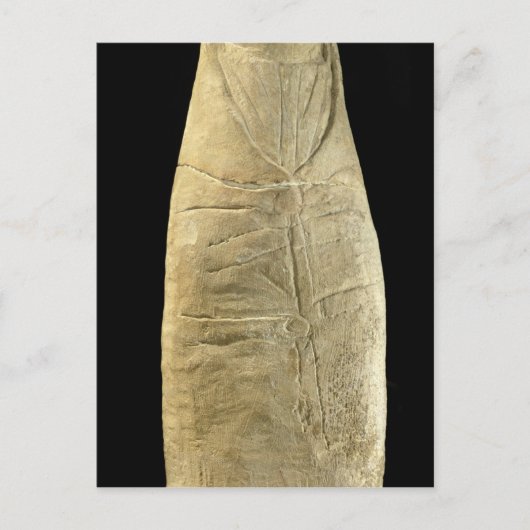 Kind in schwammiger Kleidung Postkarte (Vorderseite)