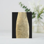 Kind in schwammiger Kleidung Postkarte (Stehend Vorderseite)