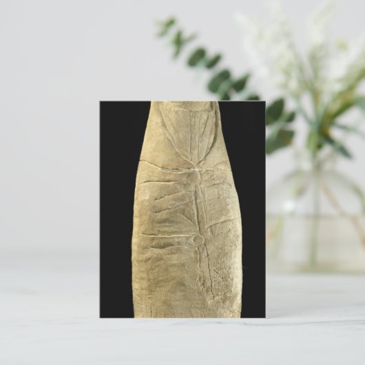 Kind in schwammiger Kleidung Postkarte (Stehend Vorderseite)