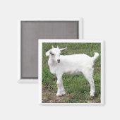 "Kind" Magnet (Vorderseite/Rückseite)