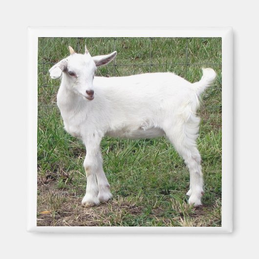 "Kind" Magnet (Vorne)