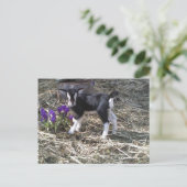 Kind mit Namen Blumen Postkarte (Stehend Vorderseite)