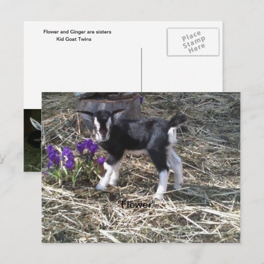 Kind mit Namen Blumen Postkarte (Vorne/Hinten)