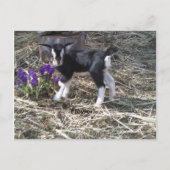 Kind mit Namen Blumen Postkarte (Vorderseite)