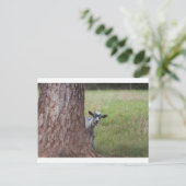 Kind (Ziege), das hinter einem Baum pinkelt Postkarte (Stehend Vorderseite)