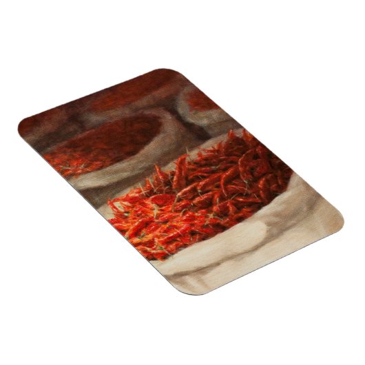 Kinder 2010 magnet (Rechte Seite)