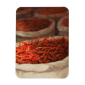 Kinder 2010 magnet (Vertikal)