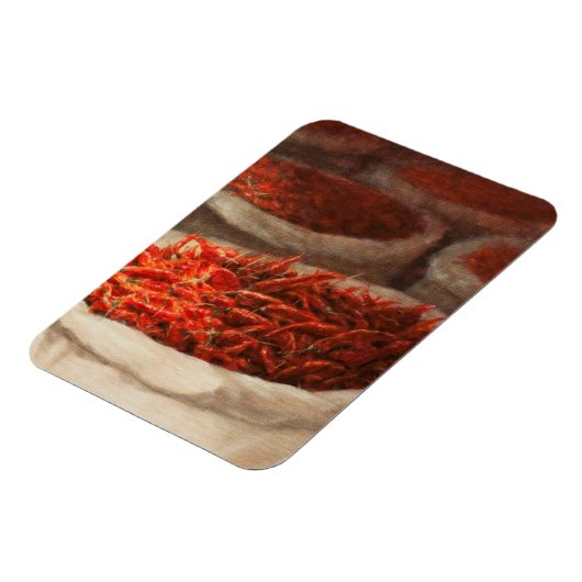 Kinder 2010 magnet (Linke Seite)