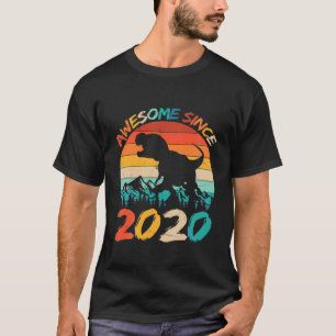 Kinder 2 Geburtstag Dinosaurier 2 Jahre Junge Kind T-Shirt