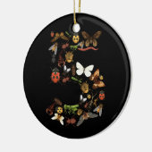 Kinder 5th Birthday Bugs Insects Beetles Boys Girl Keramik Ornament (Links)