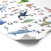 Kinder Alphabet Poster Illustration, Aqua Life. (Ecke)