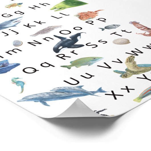 Kinder Alphabet Poster Illustration, Aqua Life. (Ecke)