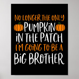 Kinder Big Brother Fall Schwangerschaft Ankündigun Poster