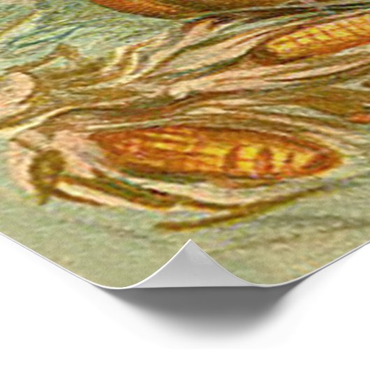 Kinder Carving Pumpkins Türkei Haystack Corn Poster (Ecke)