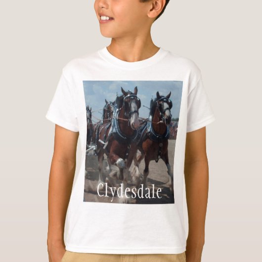Kinder Clydesdale T - Shirt (Vorderseite)