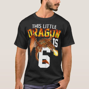 Kinder, die 6 Jahre alt werden Geburtstagsgeschenk T-Shirt