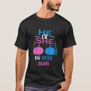 Kinder, die er oder sie große Schwester wieder Ges T-Shirt
