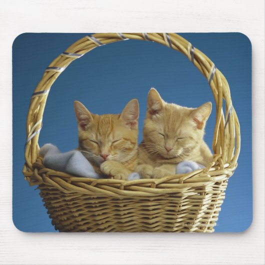 Kinder, die im Korb schlafen Mousepad (Vorne)