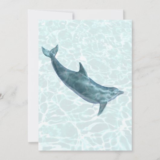 Kinder Dolphin Geburtstagsparty Einladungen (Rückseite)