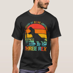 Kinder Drei Rex 3. Geburtstag Dritter Dinosaurier T-Shirt