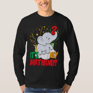 Kinder Es ist meine Geburtstags-Elefant-2-Geburtst T-Shirt