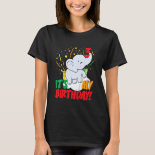 Kinder Es ist meine Geburtstags-Elefant 3 Geburtst T-Shirt