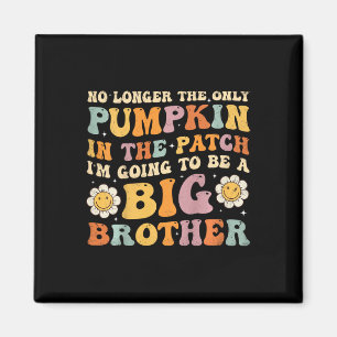 Kinder Groovy Big Brother Fall Schwangerschaft Ank Magnet