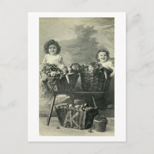 Kinder in Gemüsekorben 1906 Vintage Postkarte